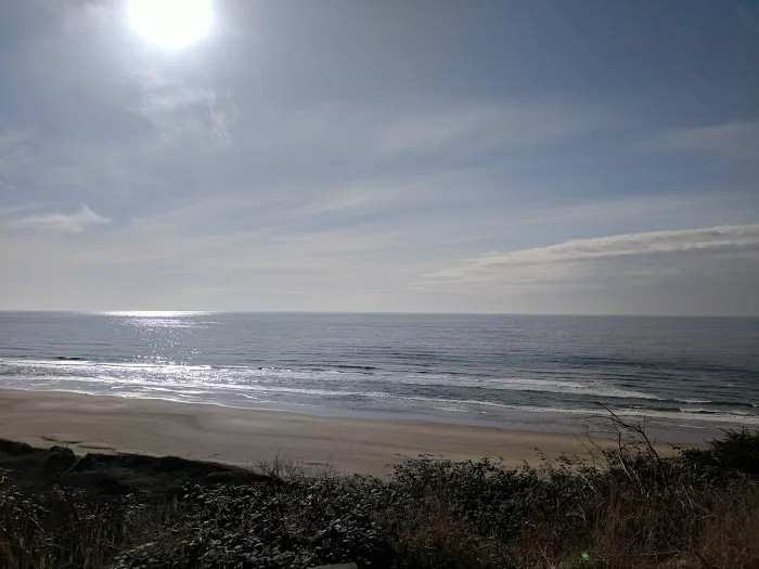 Alder Dune Picture 8