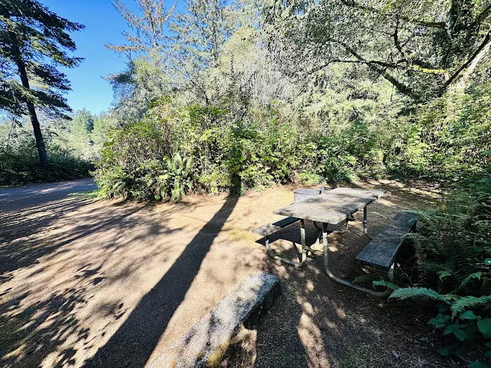 Alder Dune Picture 6