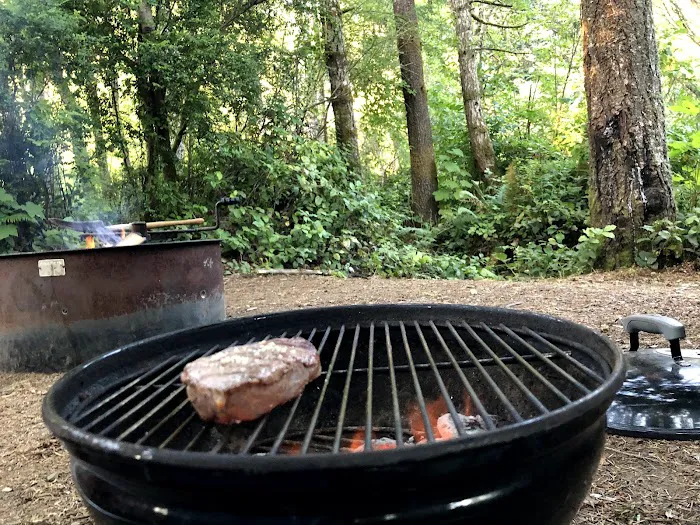 Alder Dune Picture 9