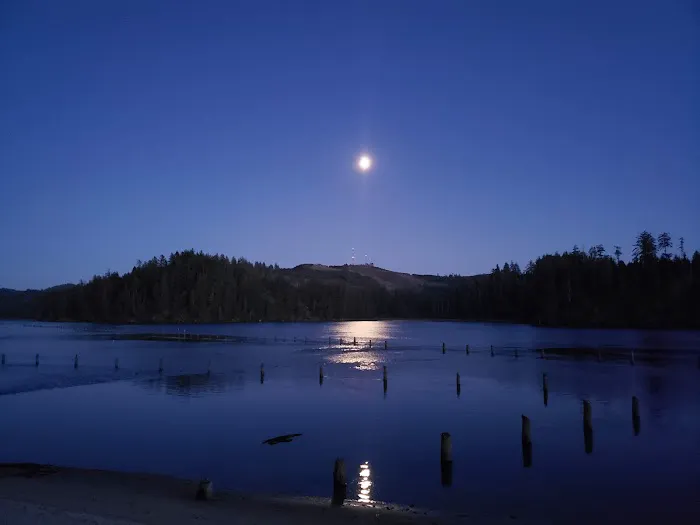 Port of Siuslaw Campground Picture 6