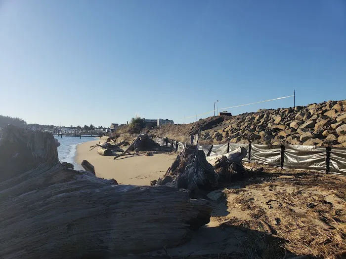 Port of Siuslaw Campground Picture 9