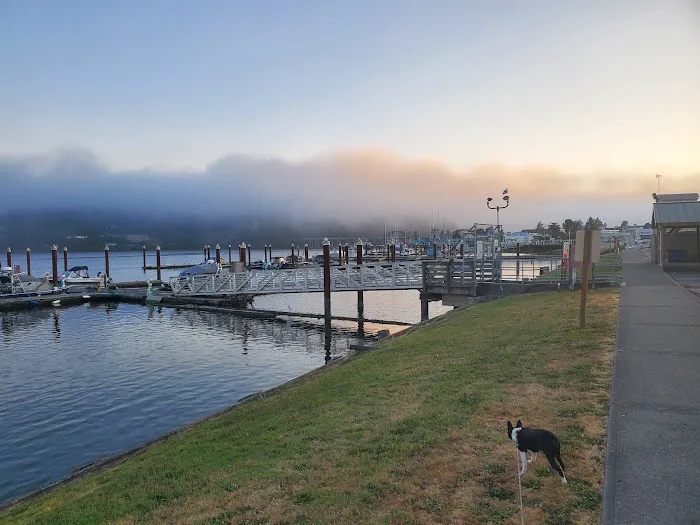 Port of Siuslaw Campground Picture 7