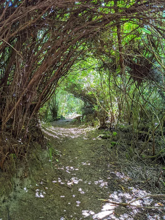 Sutton Campground Picture 6