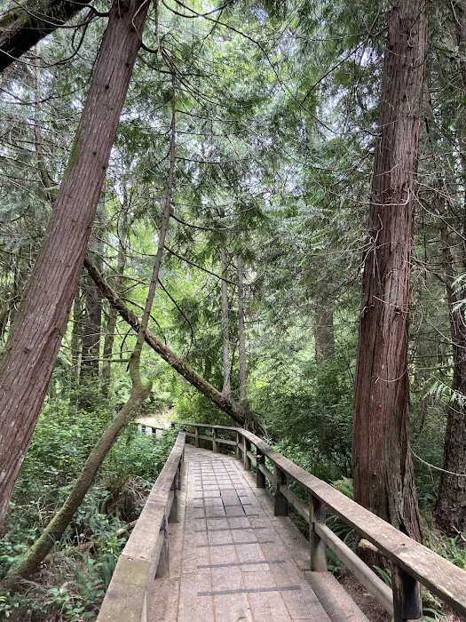 Sutton Campground Picture 4