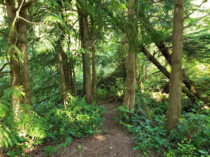 Sutton Campground Picture 1