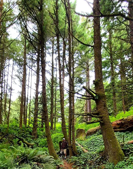 Sutton Campground Picture 5