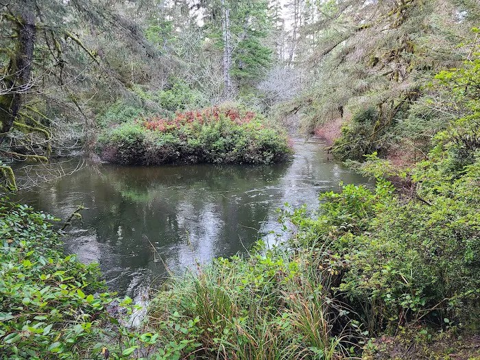 Sutton Campground Picture 7