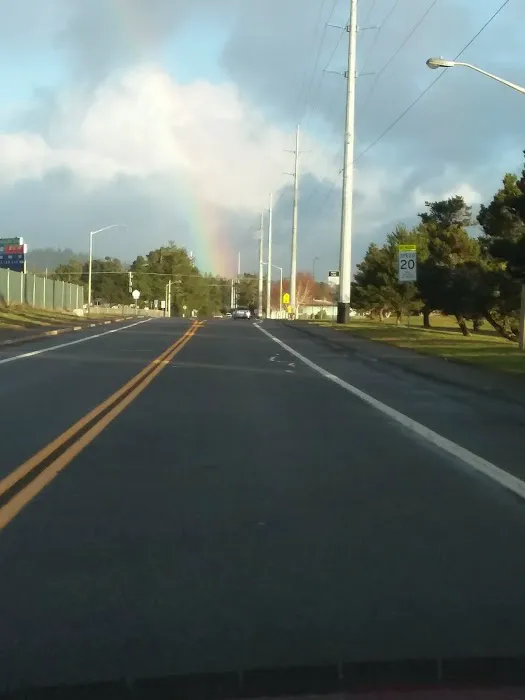 Forestry Department Picture 1