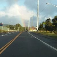 Forestry Department ico