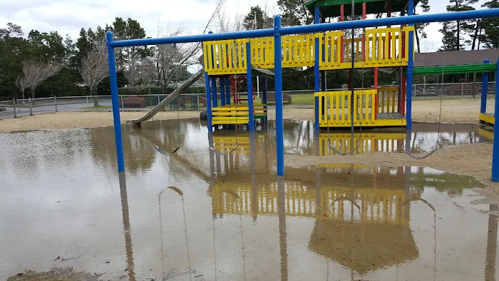 Forestry Department Picture 4