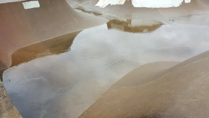 Forestry Department Picture 2