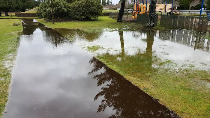 Forestry Department Picture 3