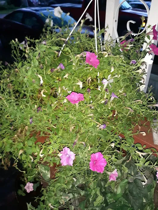 Maplewood Park. Picture 3