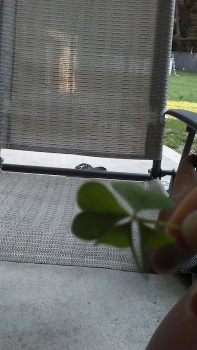 Maplewood Park. Picture 9