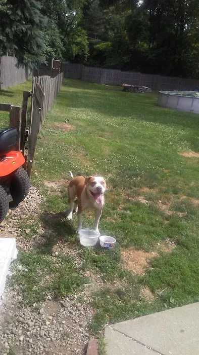 Maplewood Park. Picture 10