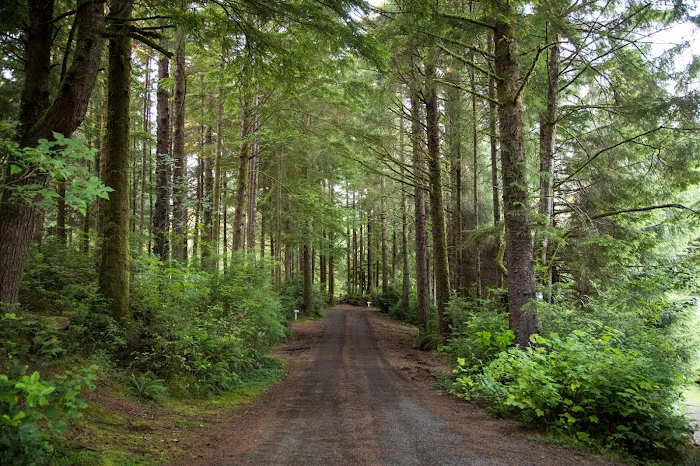 Thousand Trails South Jetty Picture 9