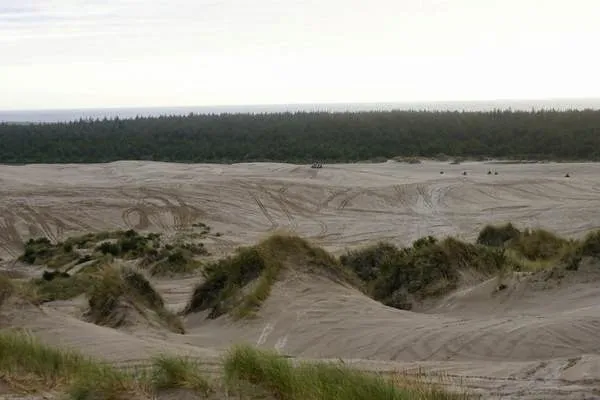 Thousand Trails South Jetty Picture 2