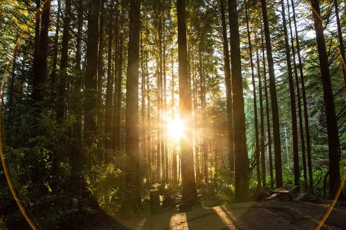 Thousand Trails South Jetty Picture 7