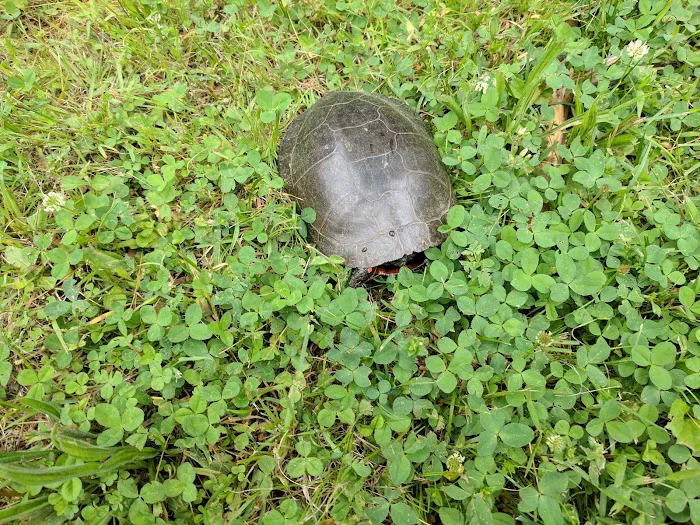 Guilford Lake Estates Picture 4