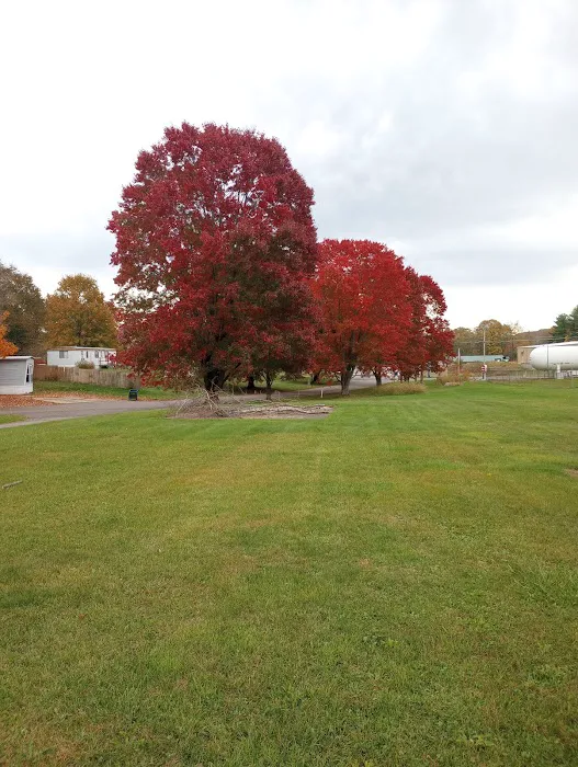 Guilford Lake Estates Picture 3