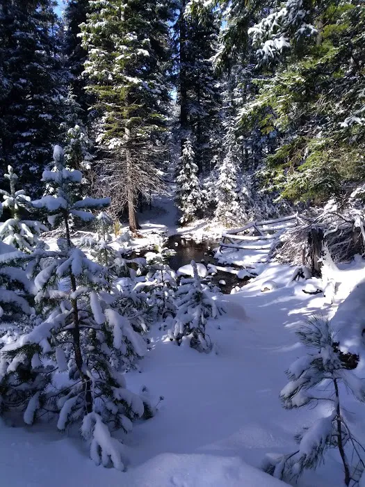 Whispering Pine Horse Camp Picture 8