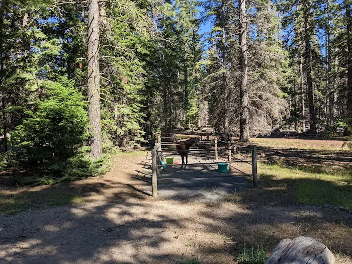 Whispering Pine Horse Camp Picture 9