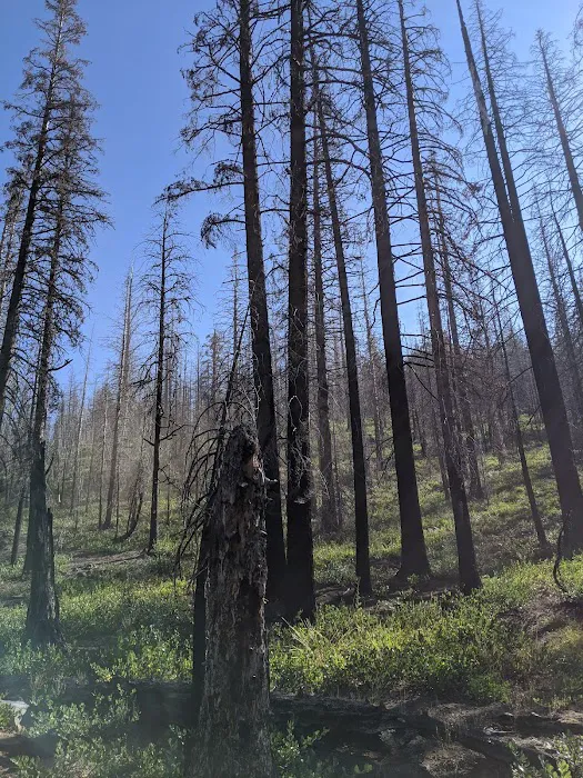 Whispering Pine Horse Camp Picture 2