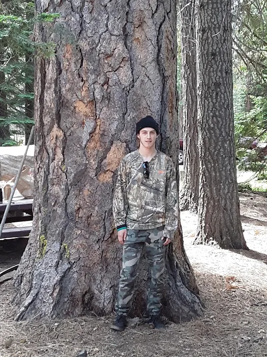 Whispering Pine Horse Camp Picture 3