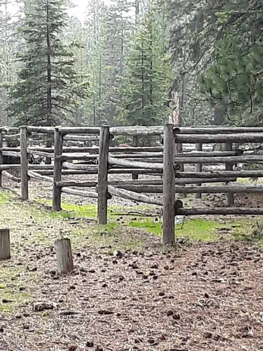 Whispering Pine Horse Camp Picture 7