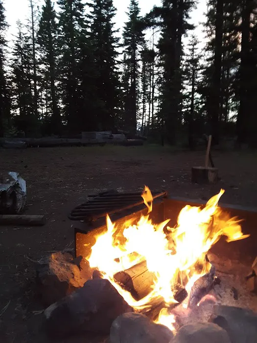 Whispering Pine Horse Camp Picture 5