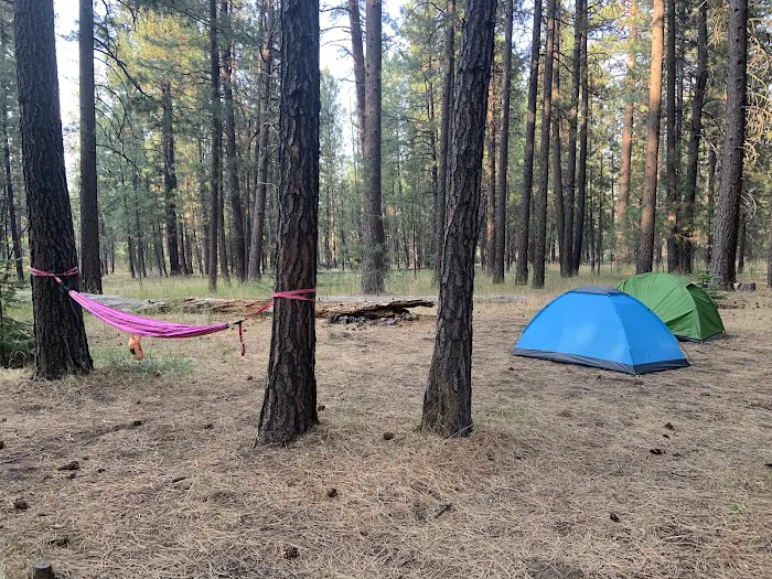 Cold Spring Campground Picture 2