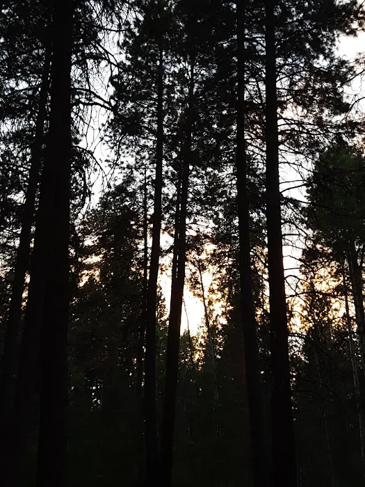 Cold Spring Campground Picture 8