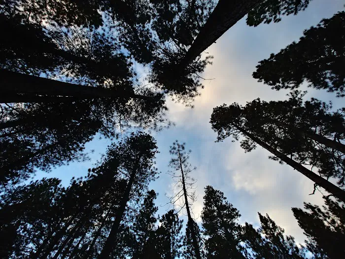 Cold Spring Campground Picture 7