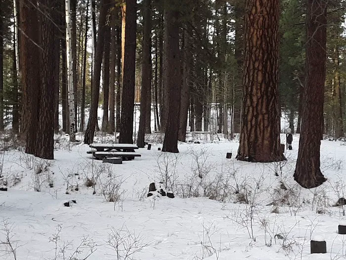 Cold Spring Campground Picture 5