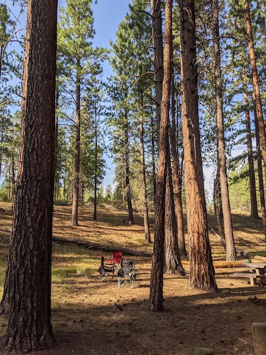 Cold Spring Campground Picture 6