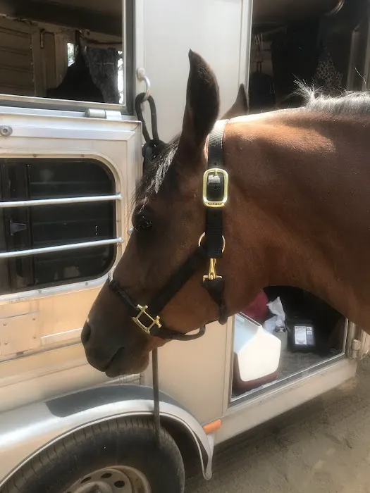 Sisters Cow Camp Picture 5