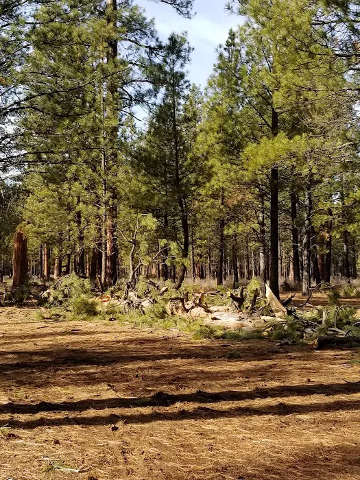 Sisters Cow Camp Picture 6