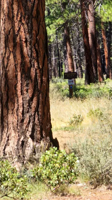 Sisters Cow Camp Picture 1