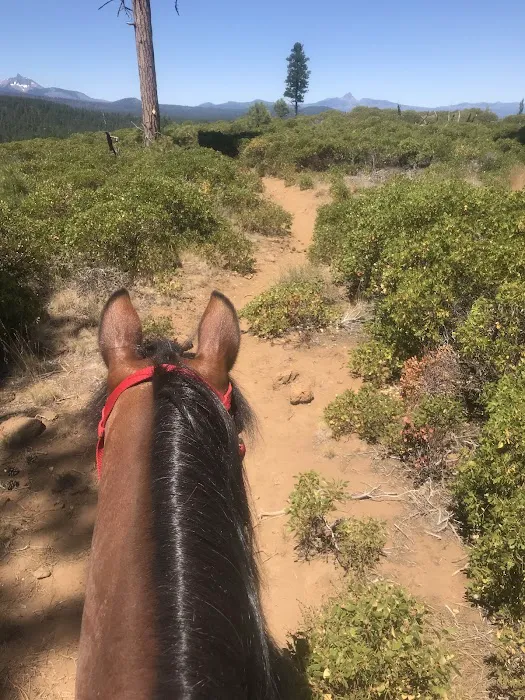 Sisters Cow Camp Picture 2