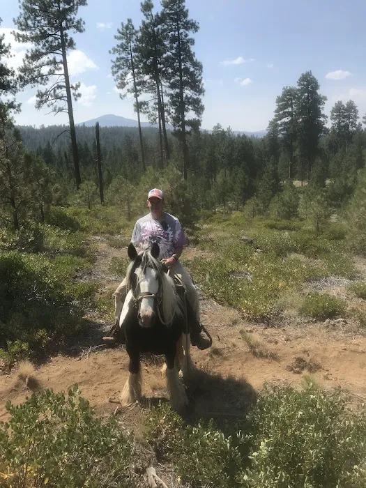 Sisters Cow Camp Picture 8