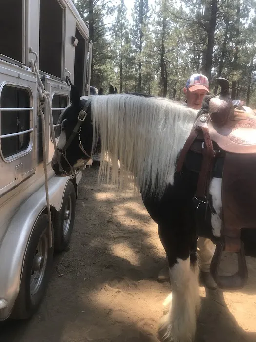 Sisters Cow Camp Picture 10