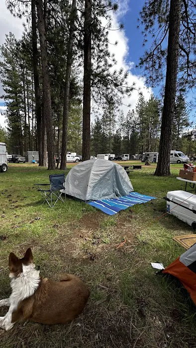 Sisters Cow Camp Picture 3