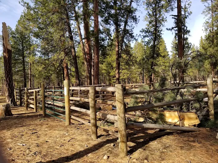 Sisters Cow Camp Picture 9