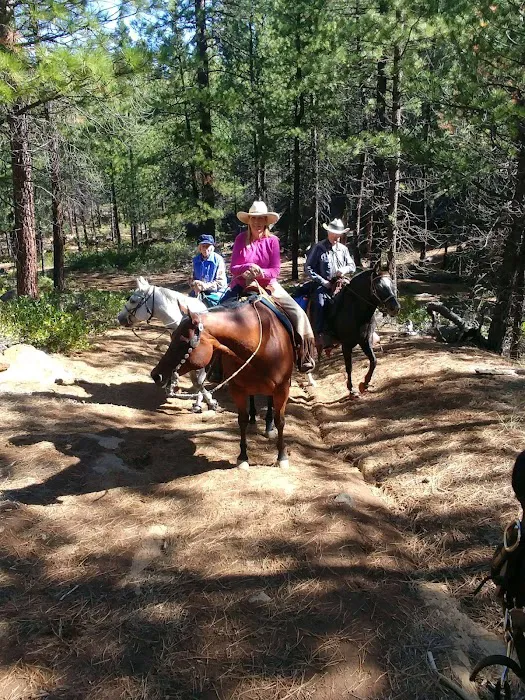 Sisters Cow Camp Picture 7