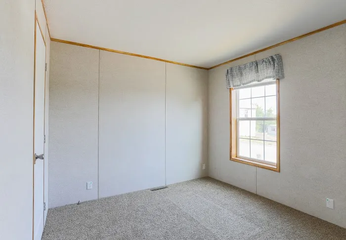 New Colony Picture 5