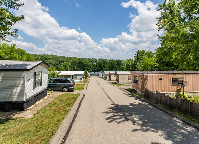 New Colony Picture 4