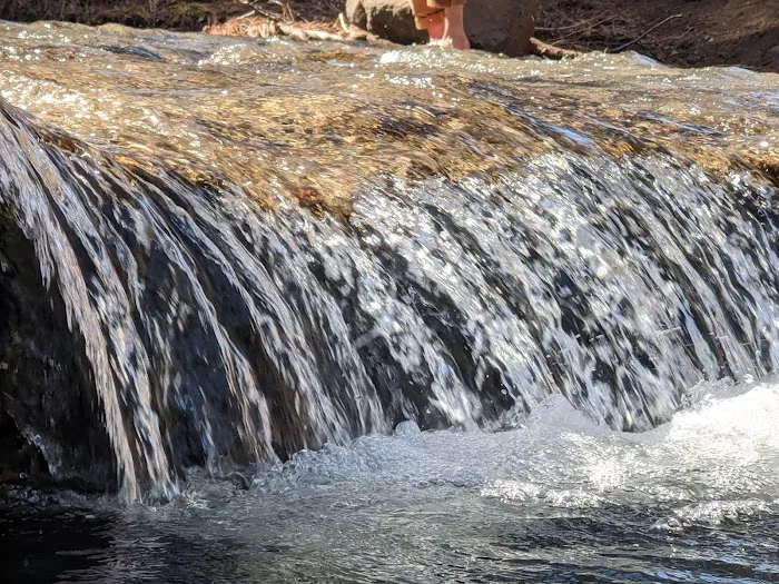 Sisters Creekside Campground Picture 10