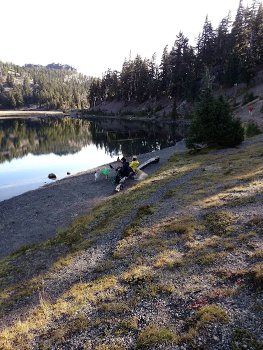 Moraine Lake Campsite Picture 5