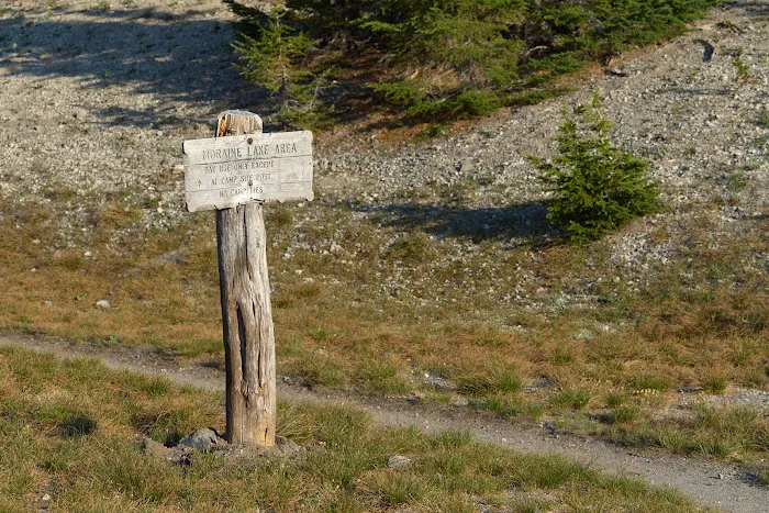 Moraine Lake Campsite Picture 9