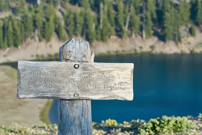 Moraine Lake Campsite Picture 4